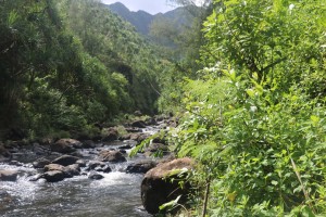 Hanakapiai River   